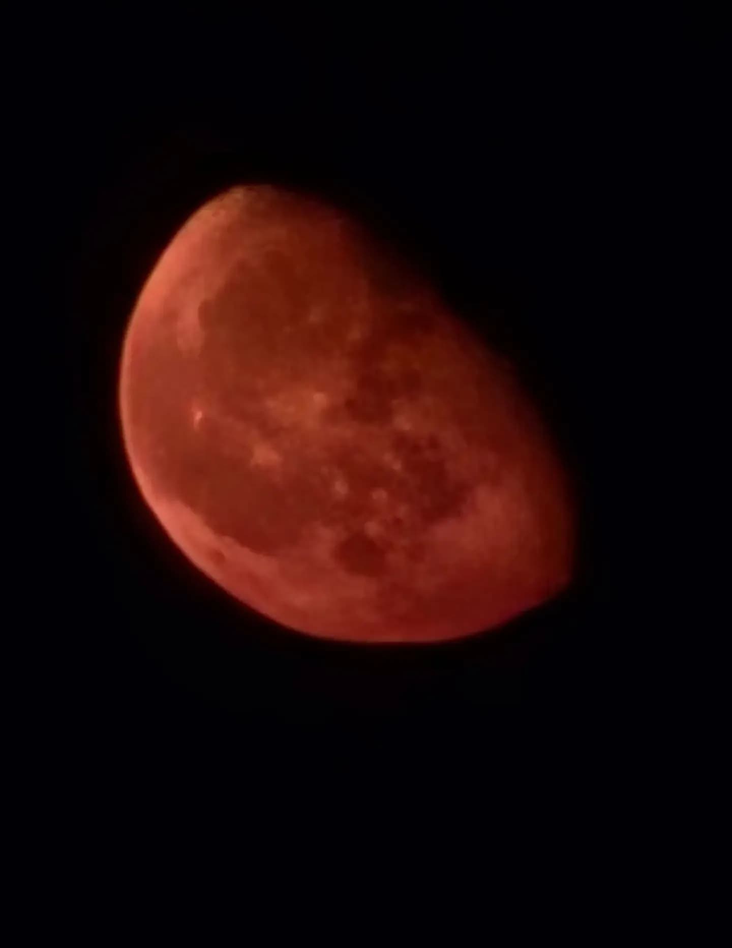 Roxii image