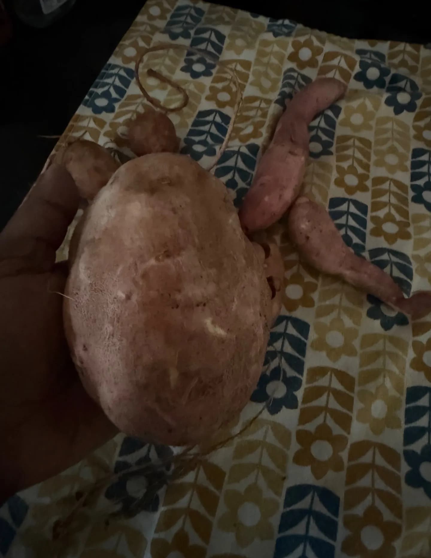 competitor wpoEb