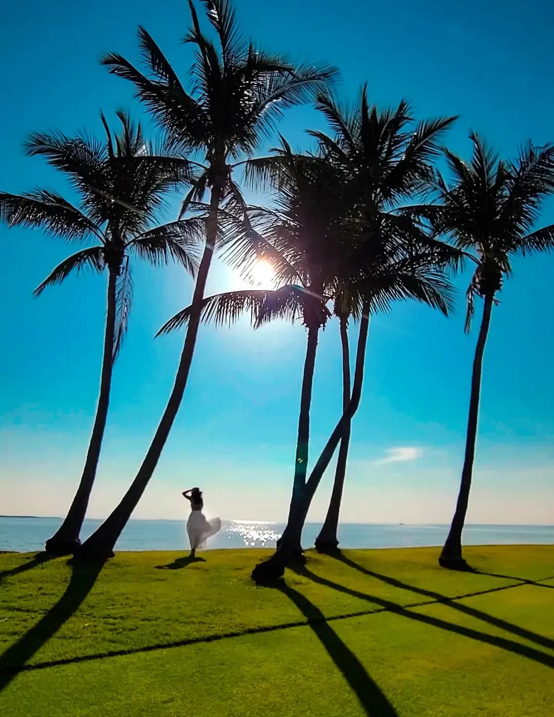 TheFloridaTribe image