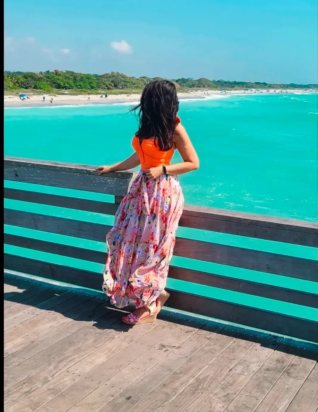 TheFloridaTribe image