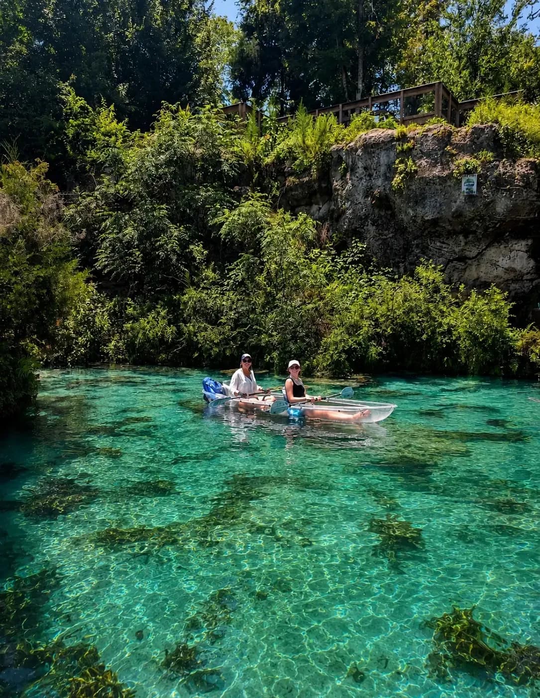TheFloridaTribe image