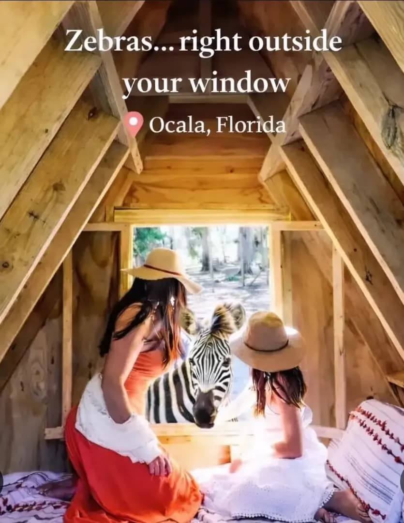 TheFloridaTribe image