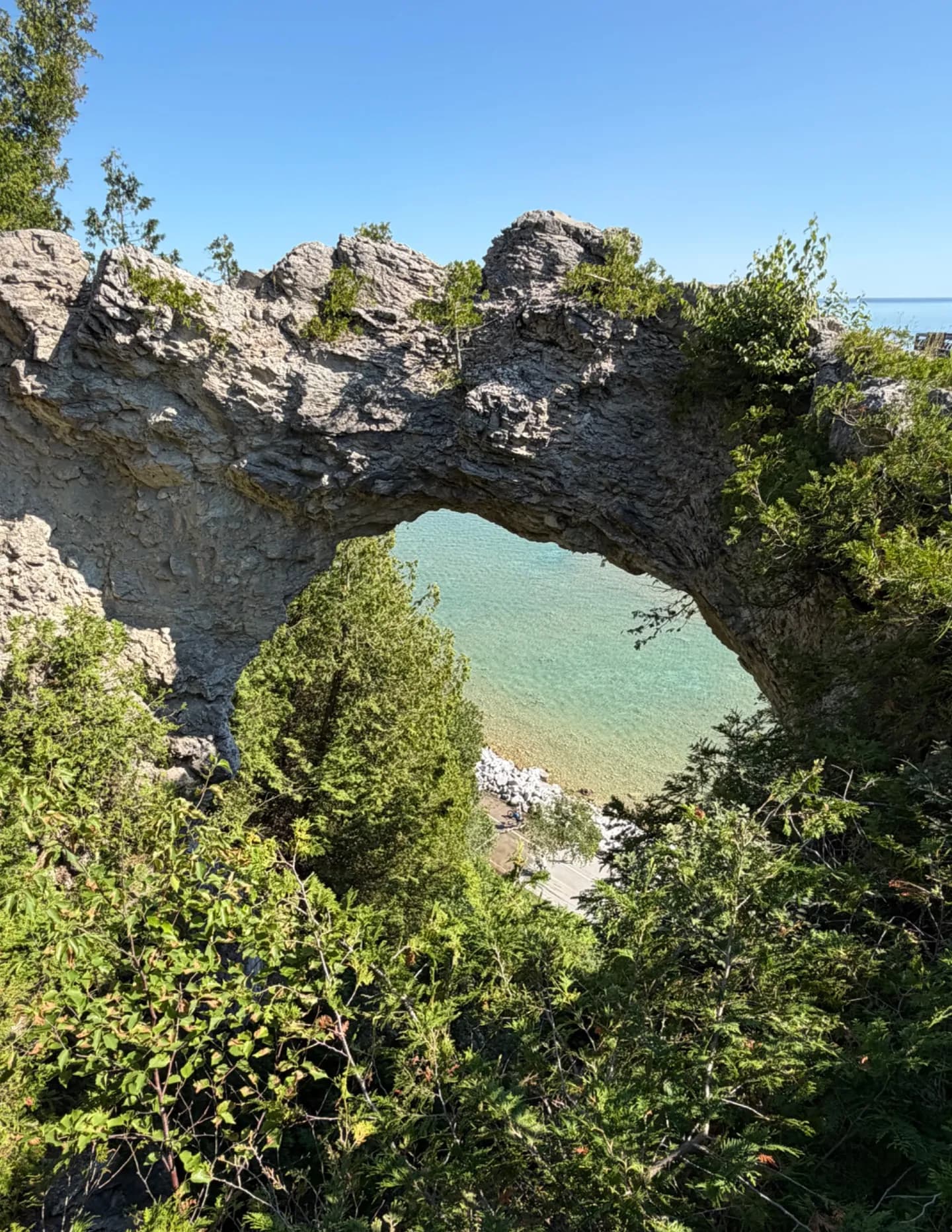 BobRobDetroit image