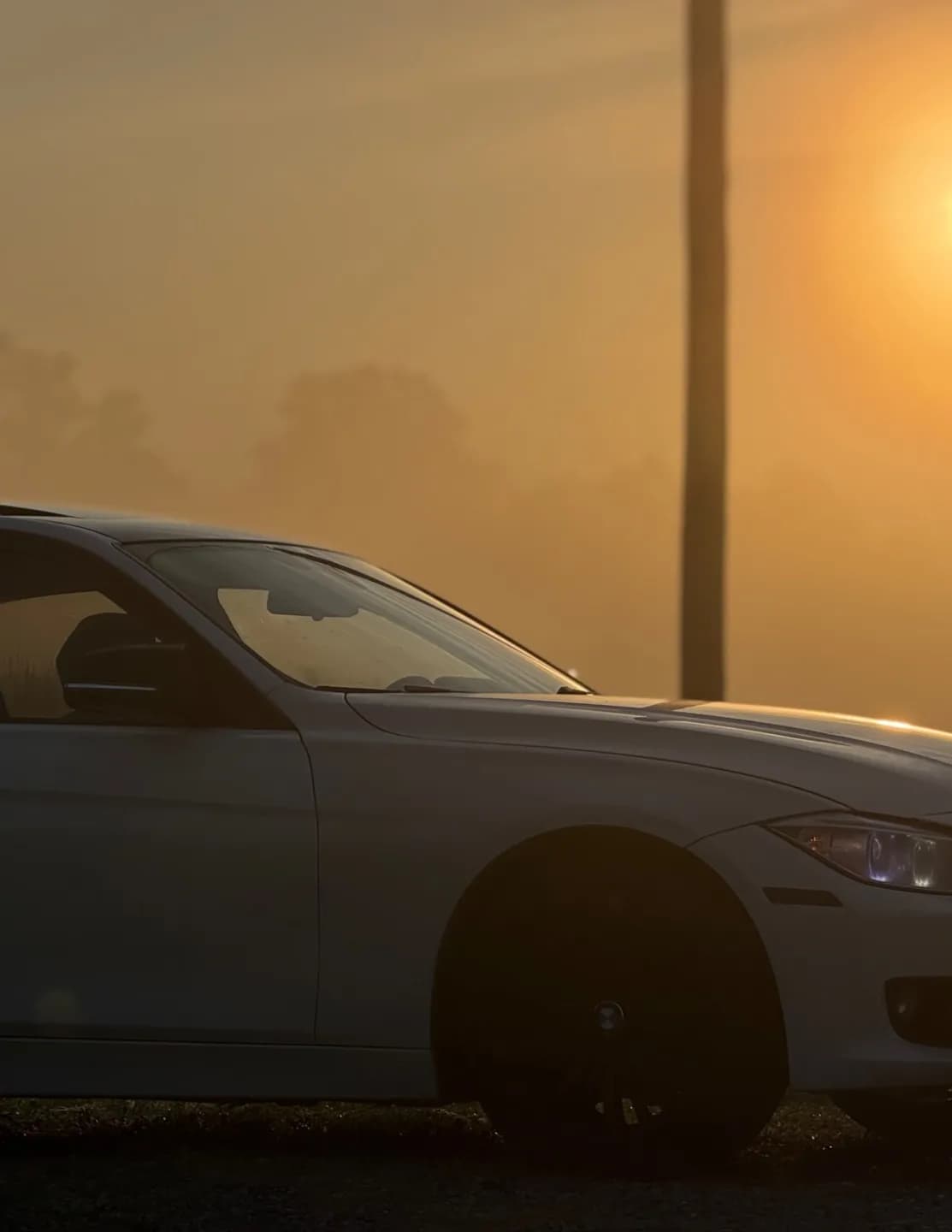 bimmerboydev image