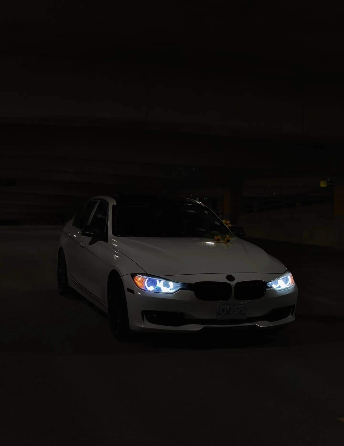 bimmerboydev image