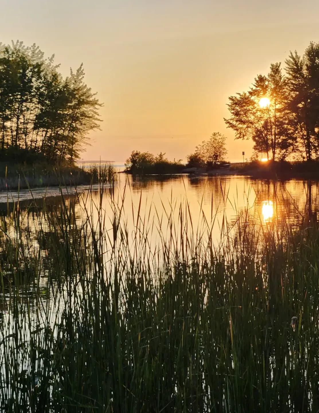 Mike42 image