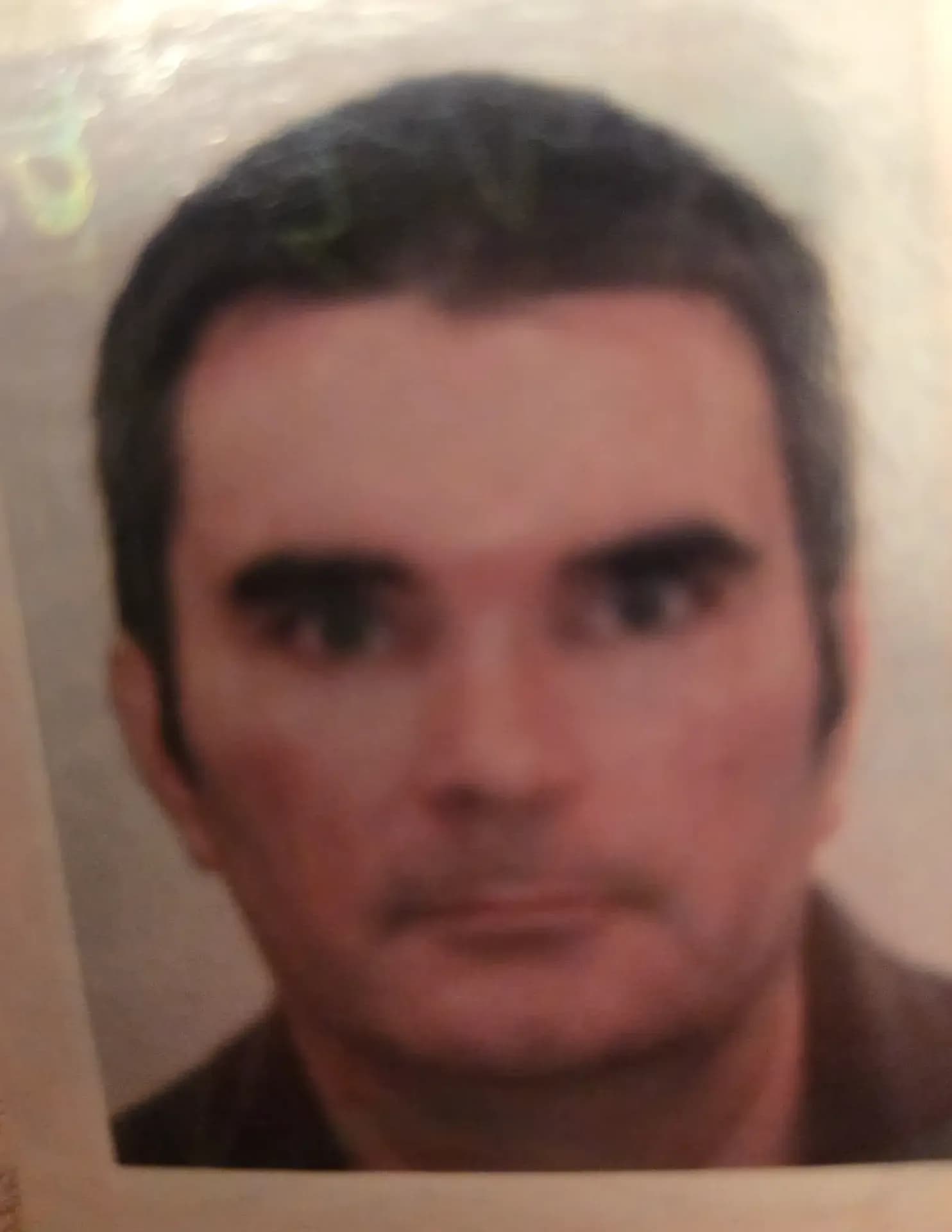 Brian Z image