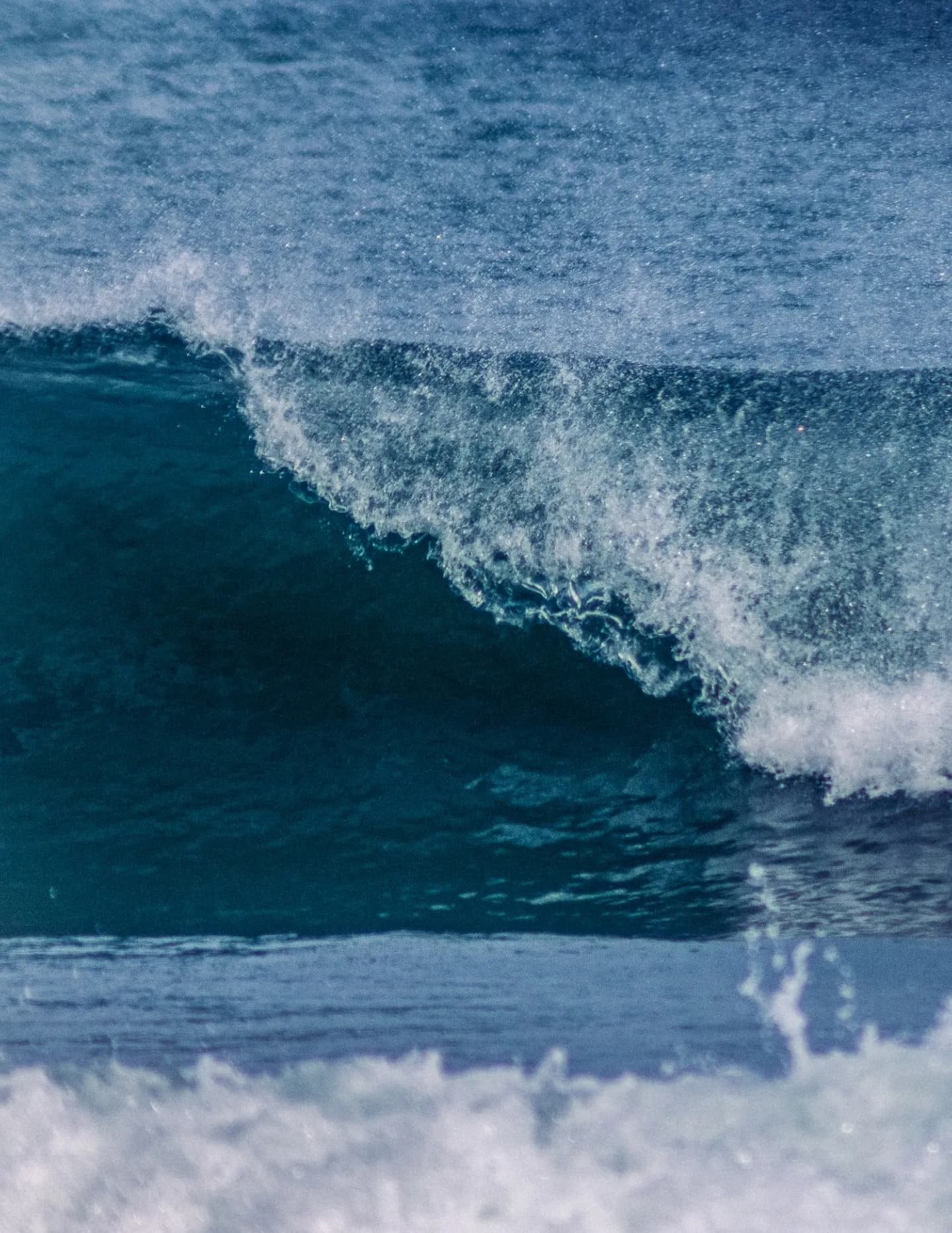 saltwaterhoneyphotography image