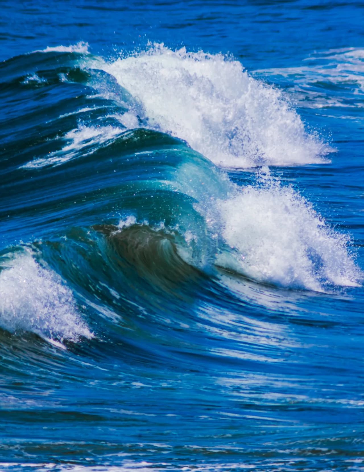 saltwaterhoneyphotography image