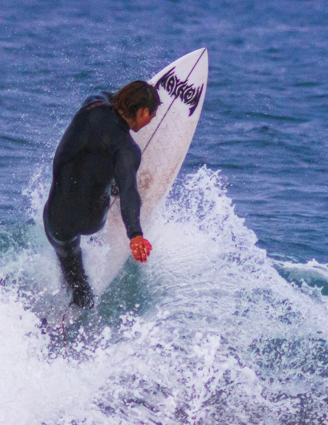 saltwaterhoneyphotography image