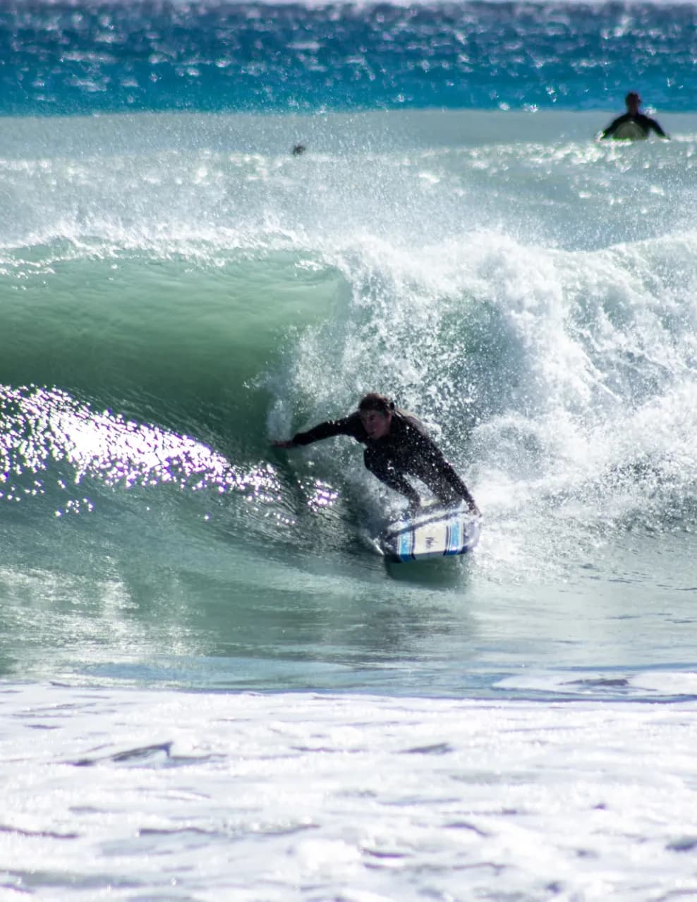 saltwaterhoneyphotography image
