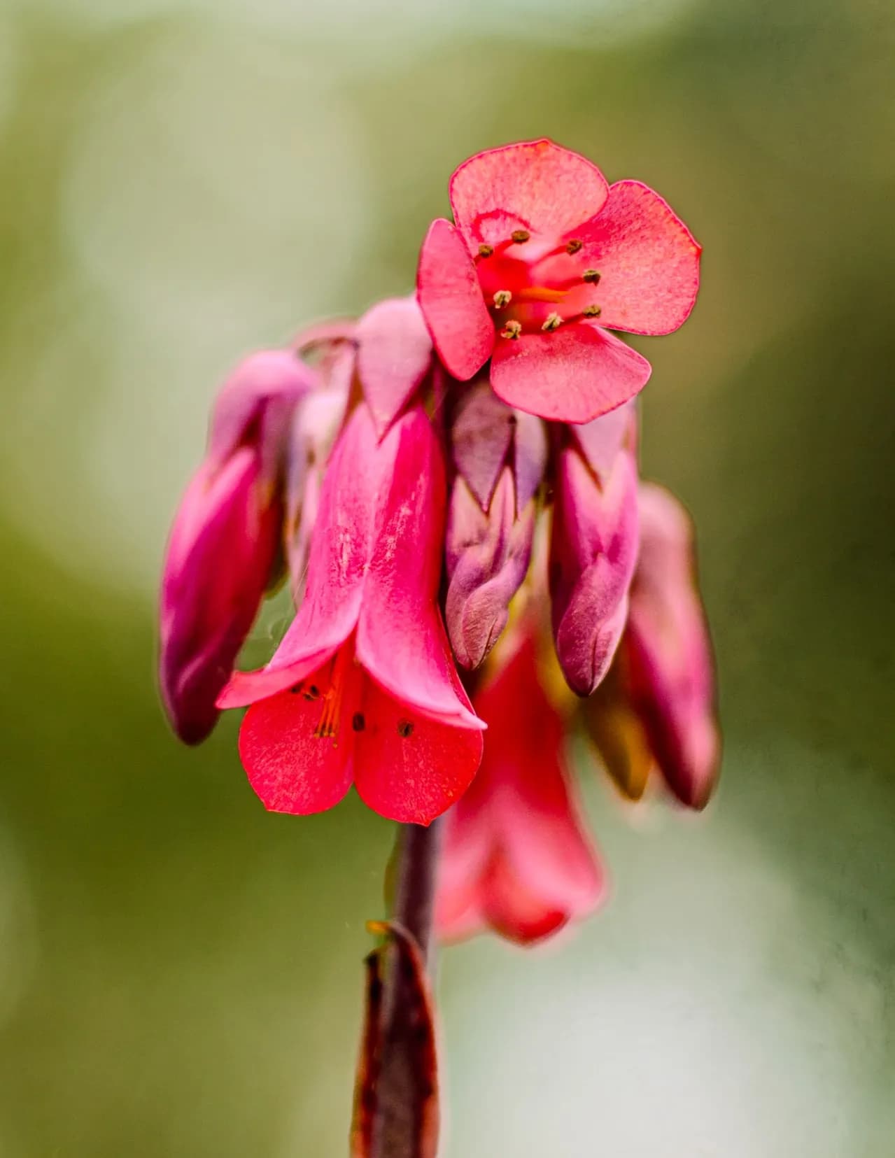 saltwaterhoneyphotography image