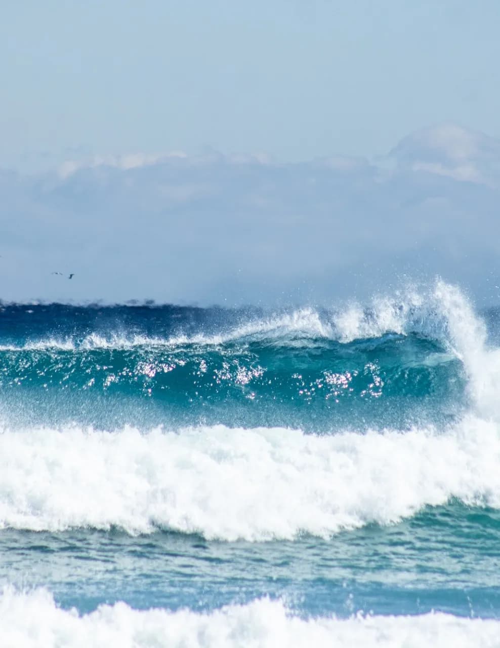 saltwaterhoneyphotography image