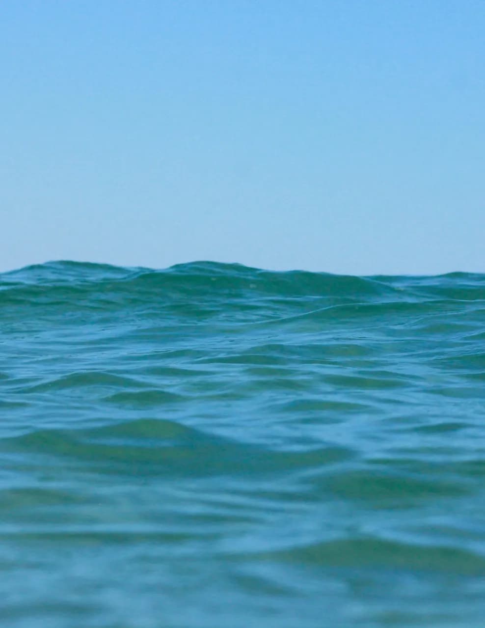 saltwaterhoneyphotography image