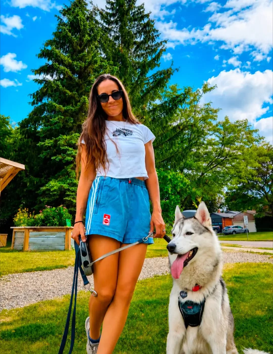 Jenn Stein image