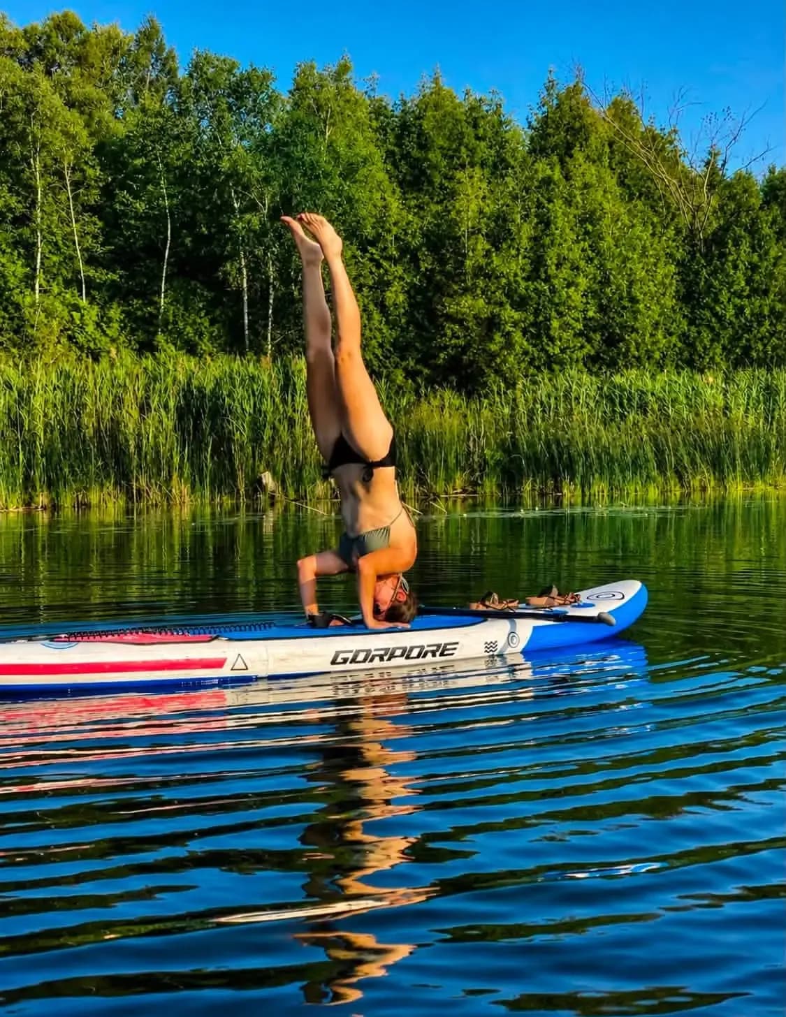 Jenn Stein image