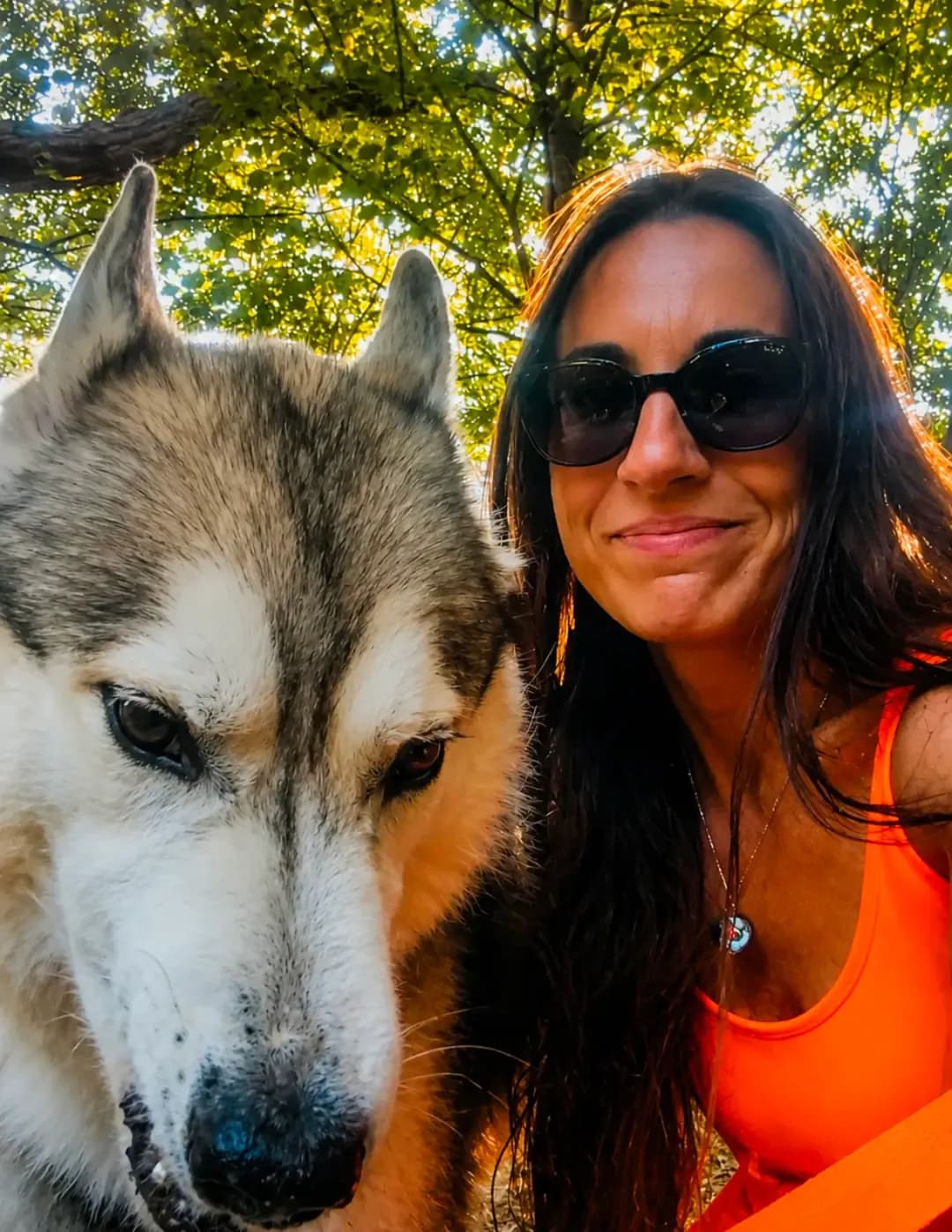 Jenn Stein image