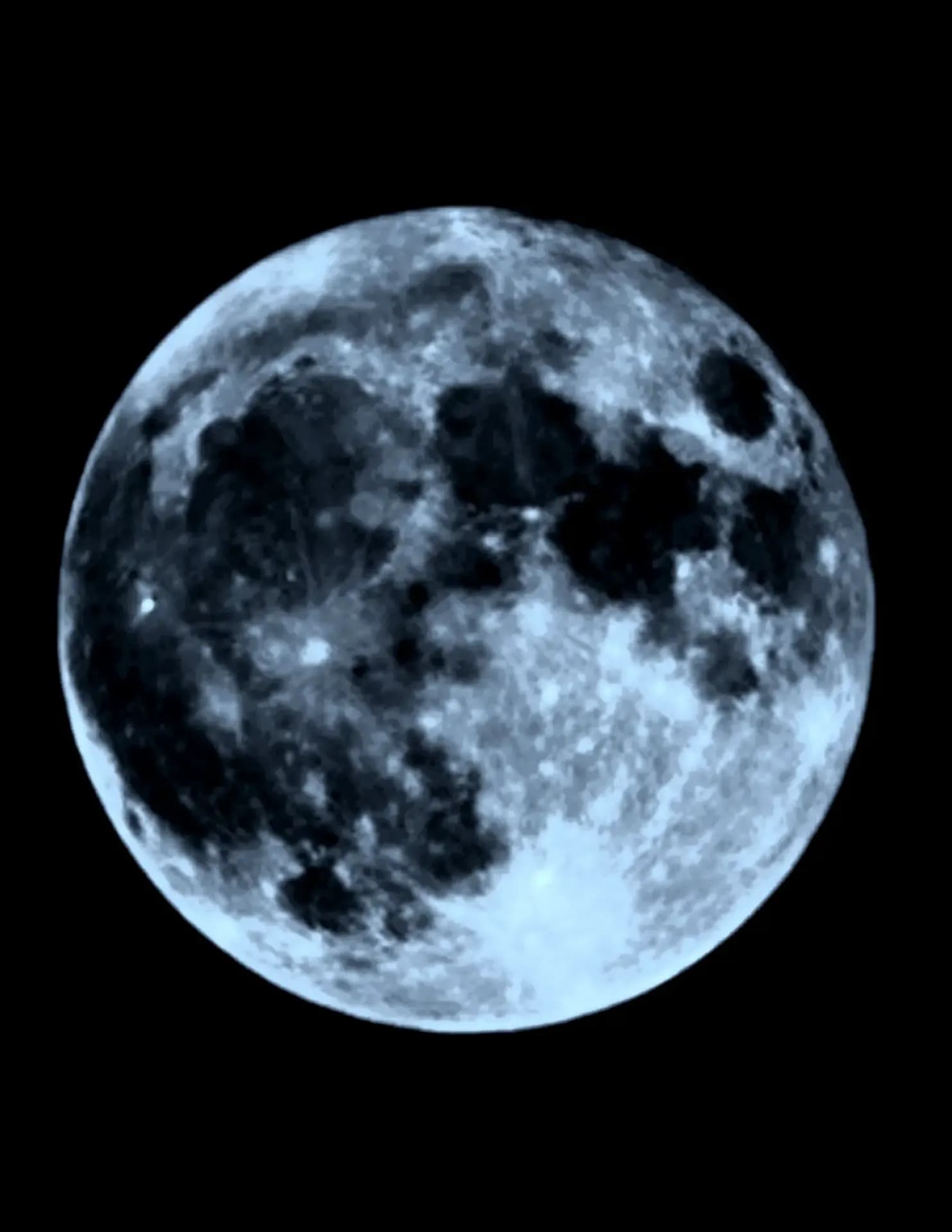 Bradleykeith image