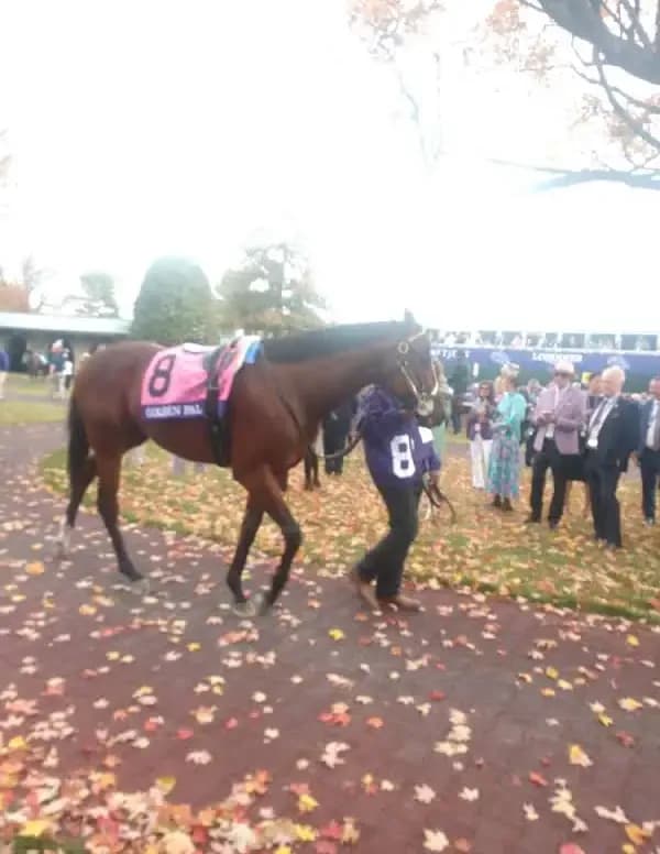 @racetrack_tom image