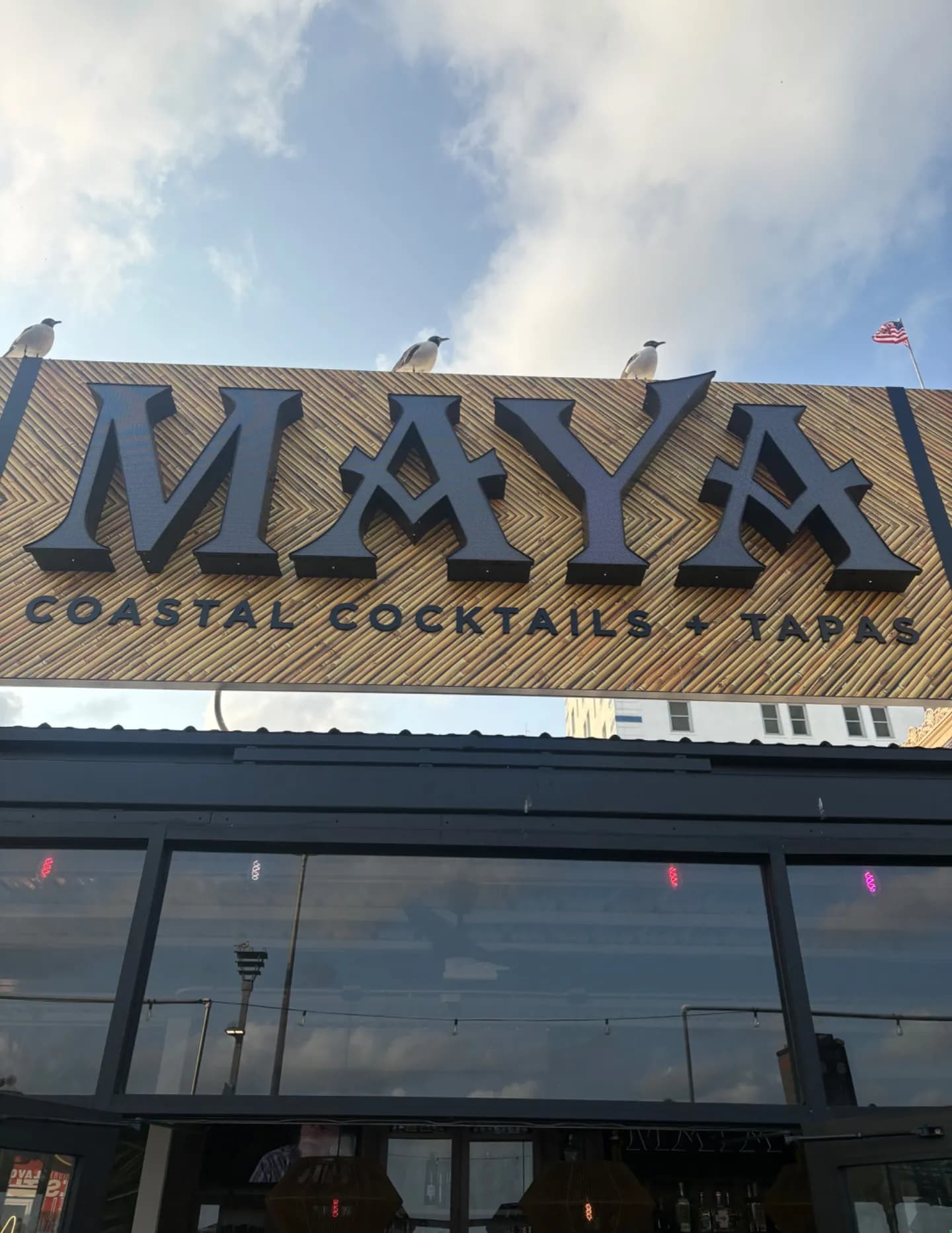 Mayaamariee image