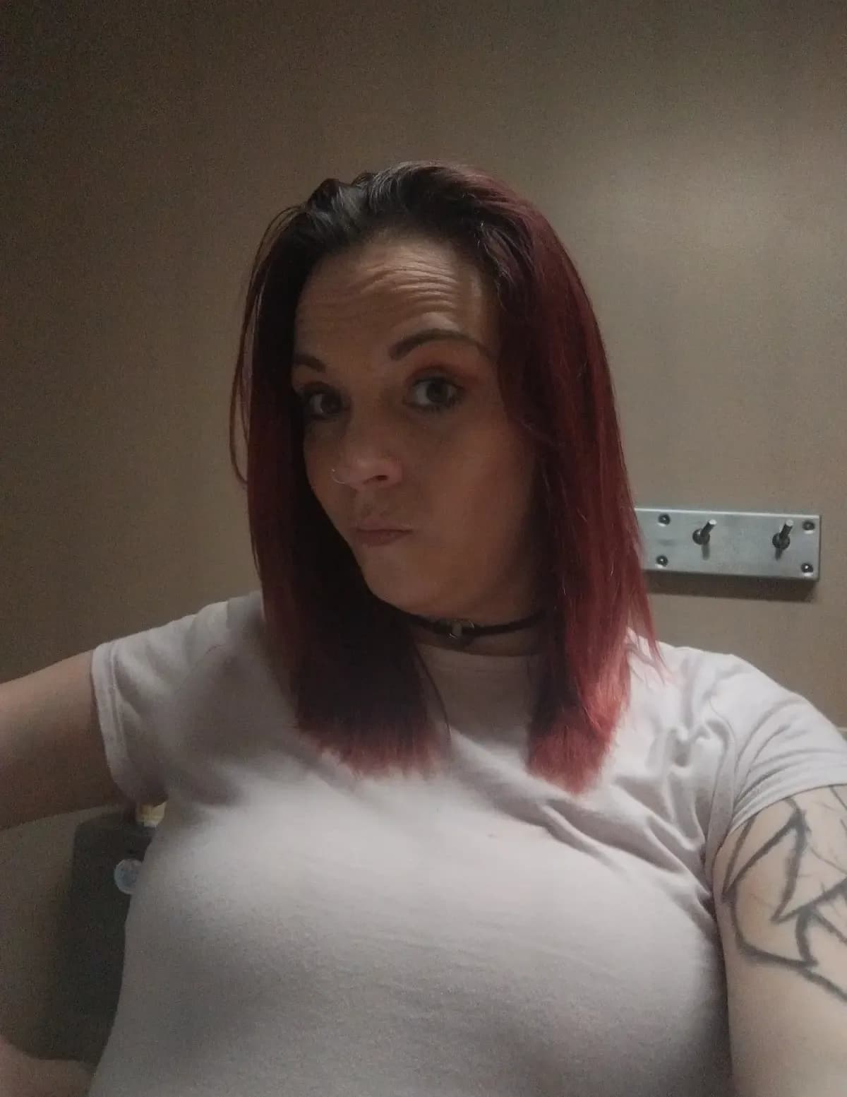 CheRex7426 image