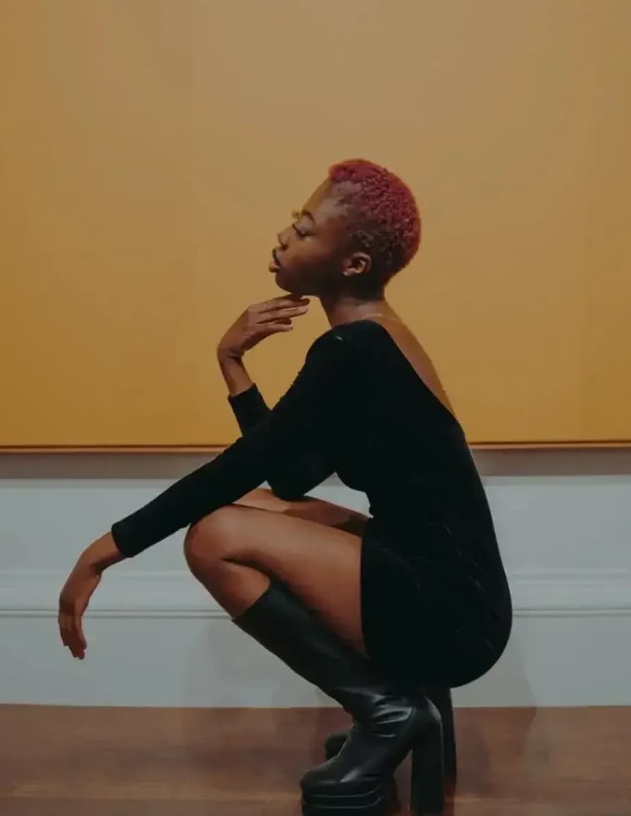 Somidinla image