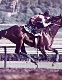 Arionna Michelle image