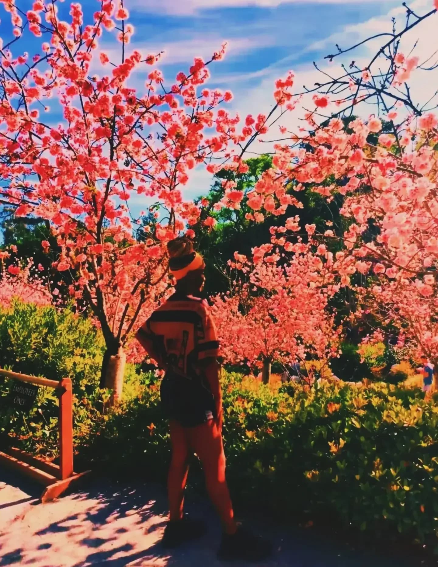 @tea_travelguide image