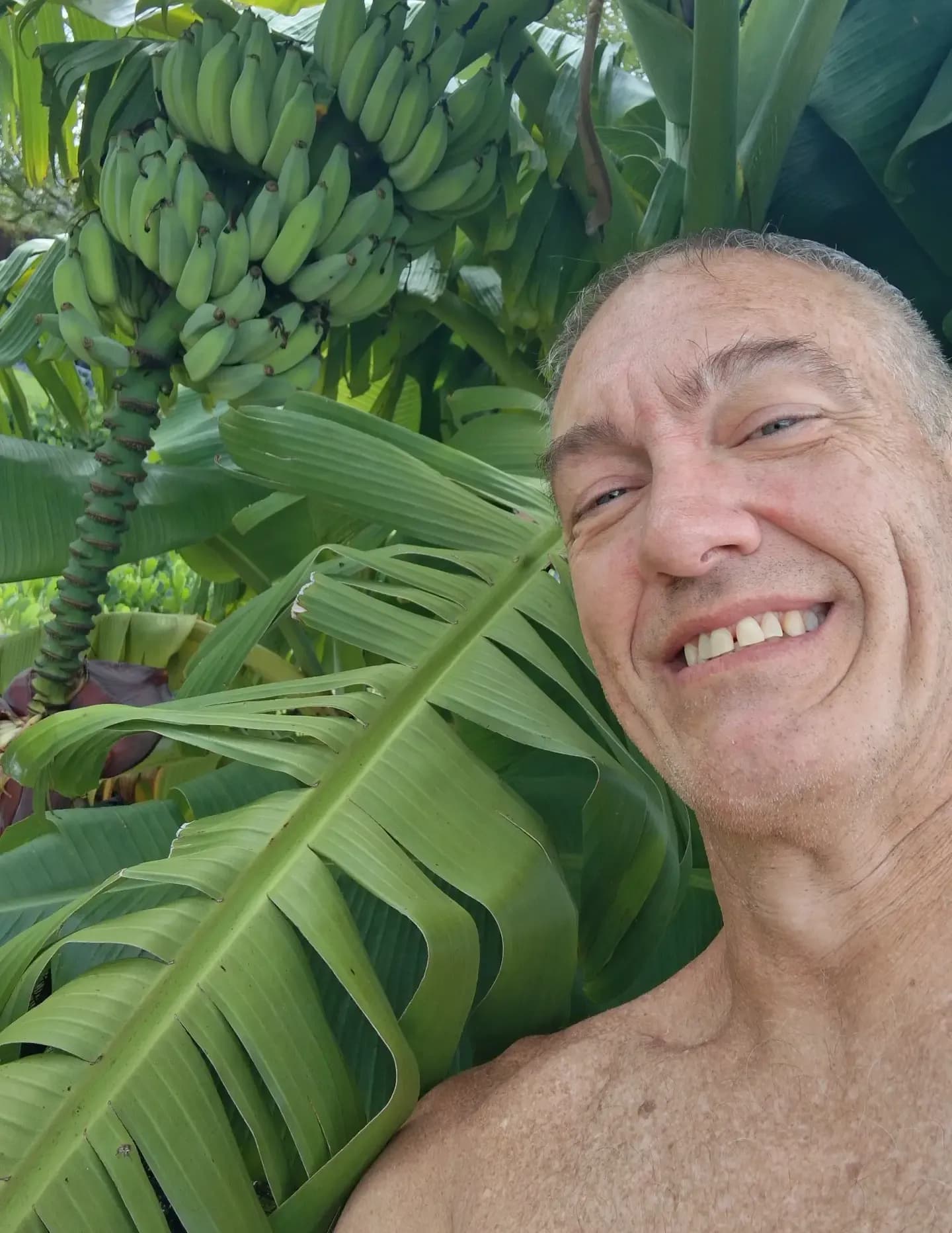 OnetallSteveo image