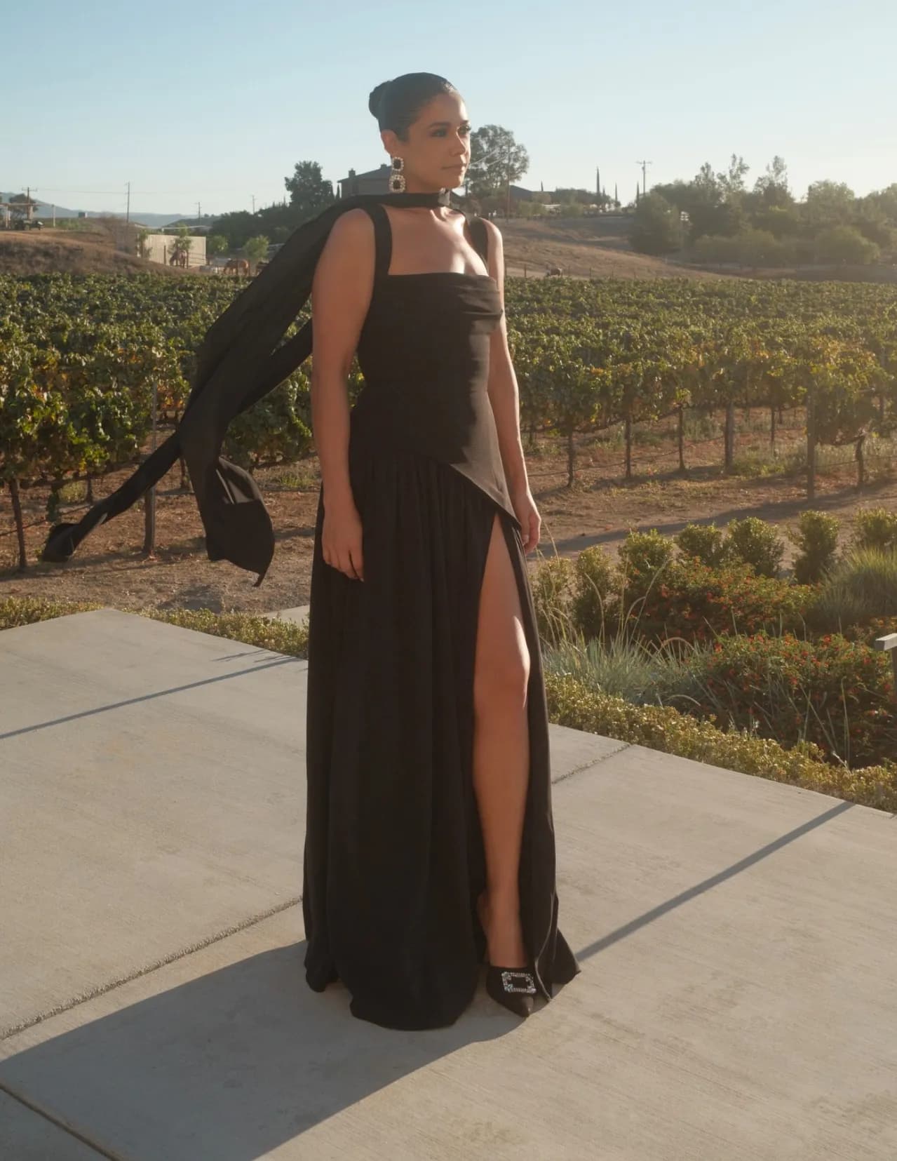 Mariana Ramirez image