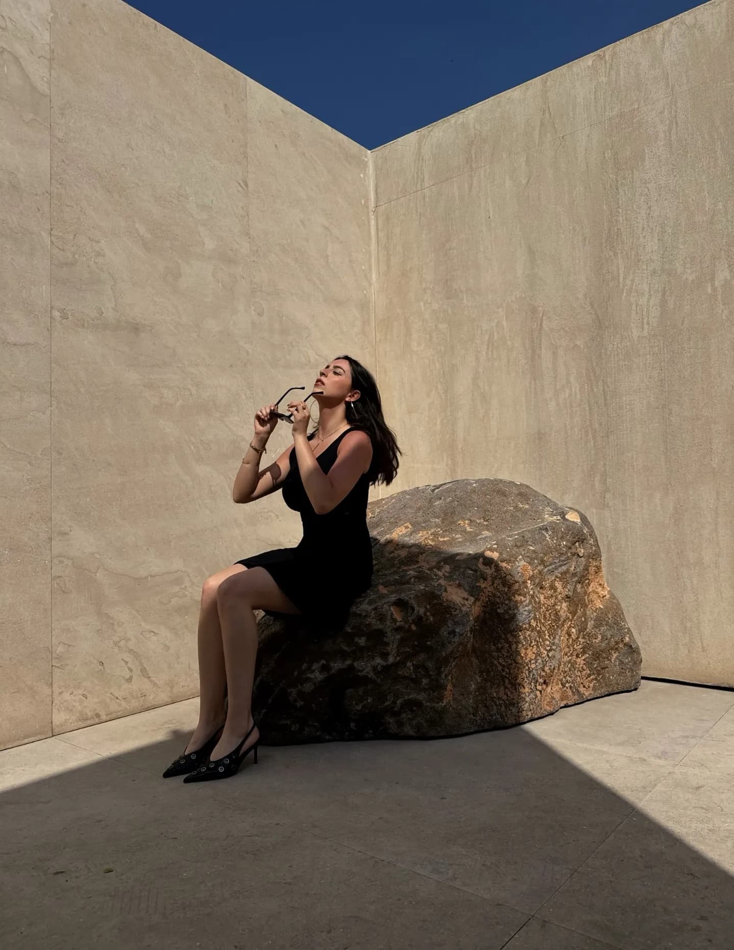 Robin Abboud image