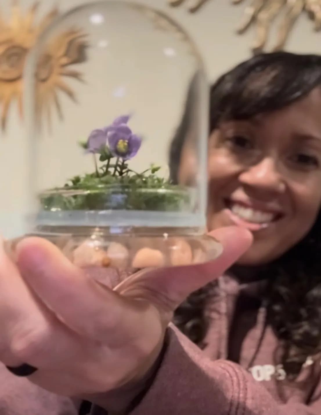 Poppermama image