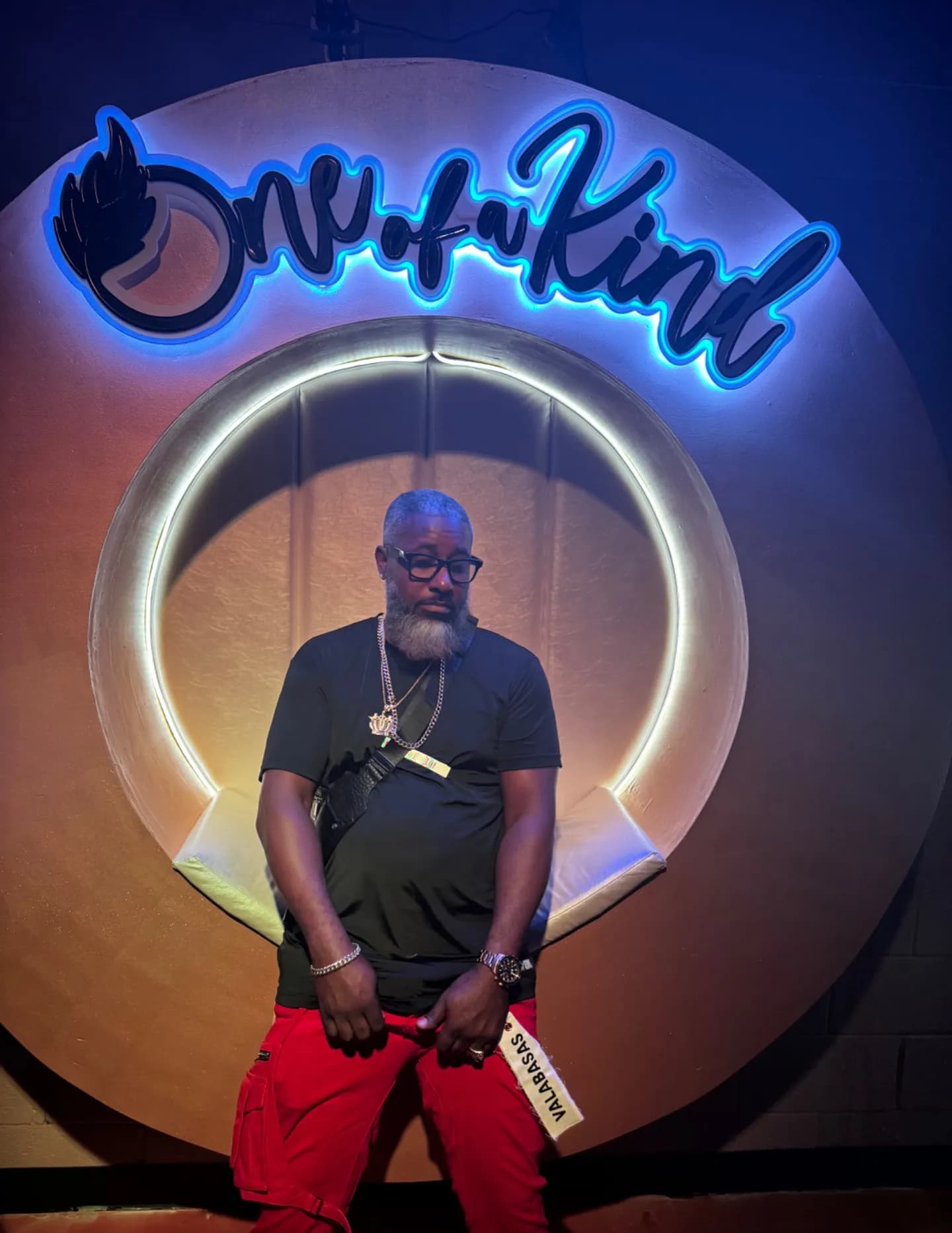 Mr Magnificent Jay image