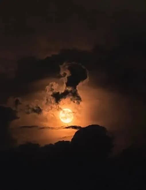 Sharon Moore Poetic Evolution image
