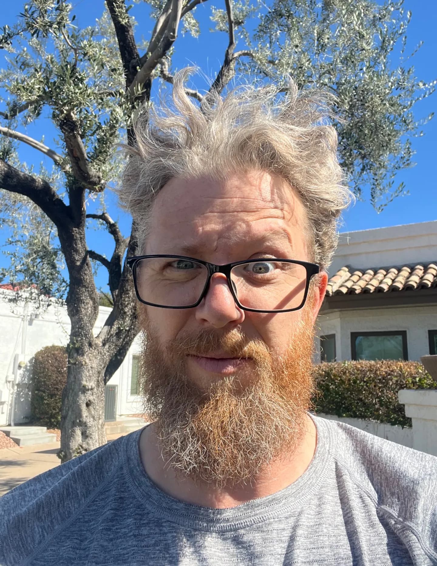 Greybeard photos image