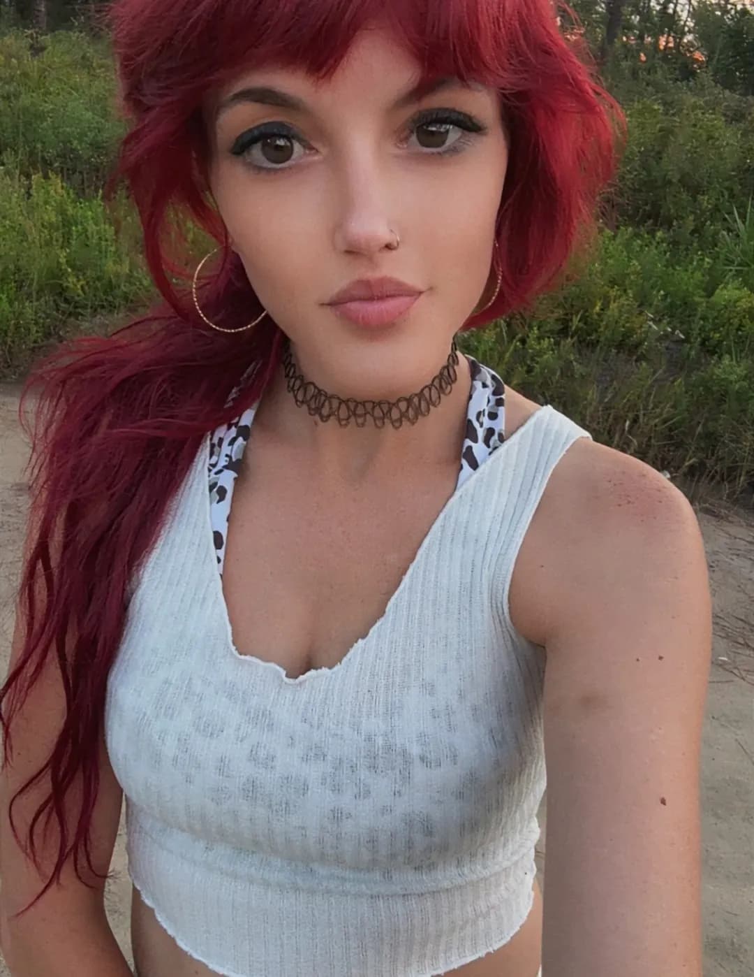 Hwil795 image
