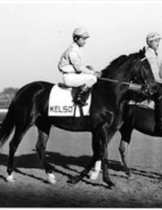 Kelso image