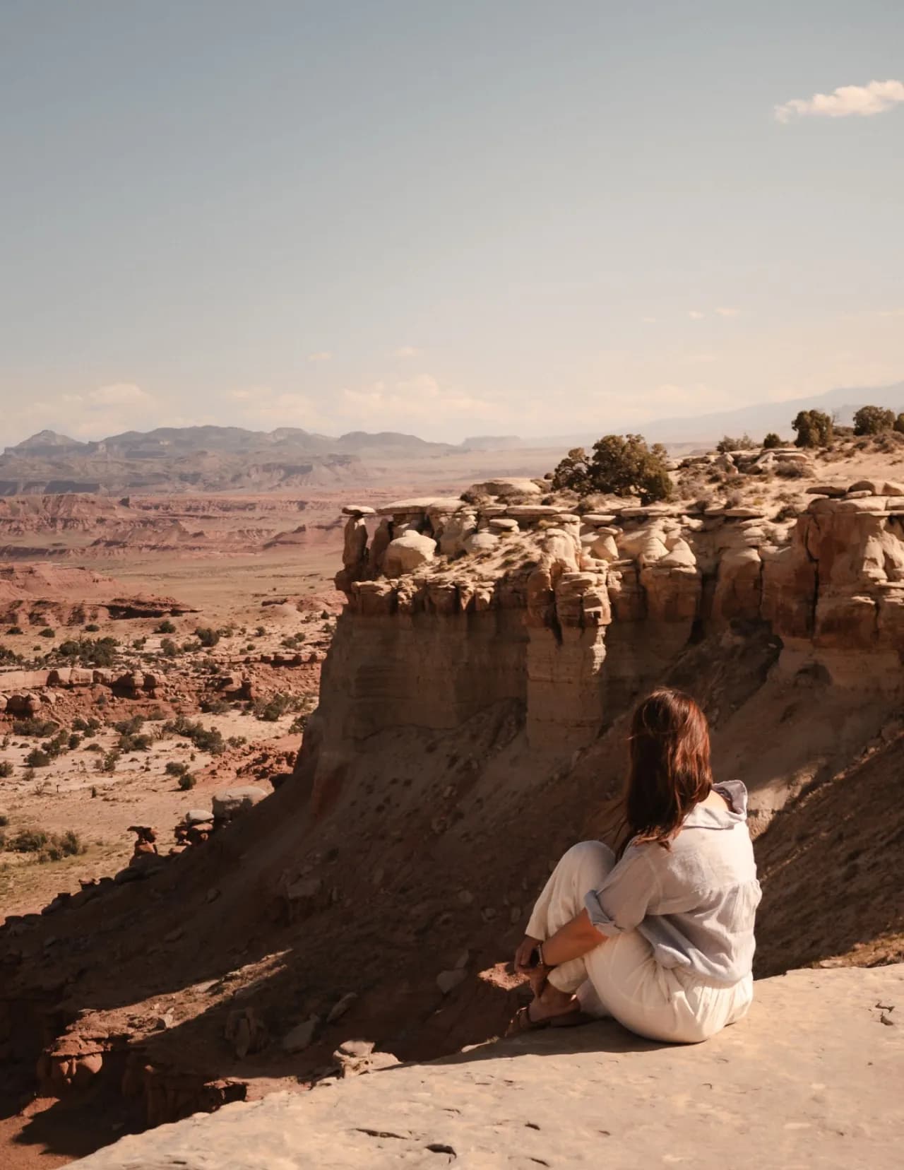 Thewanderingmutt image