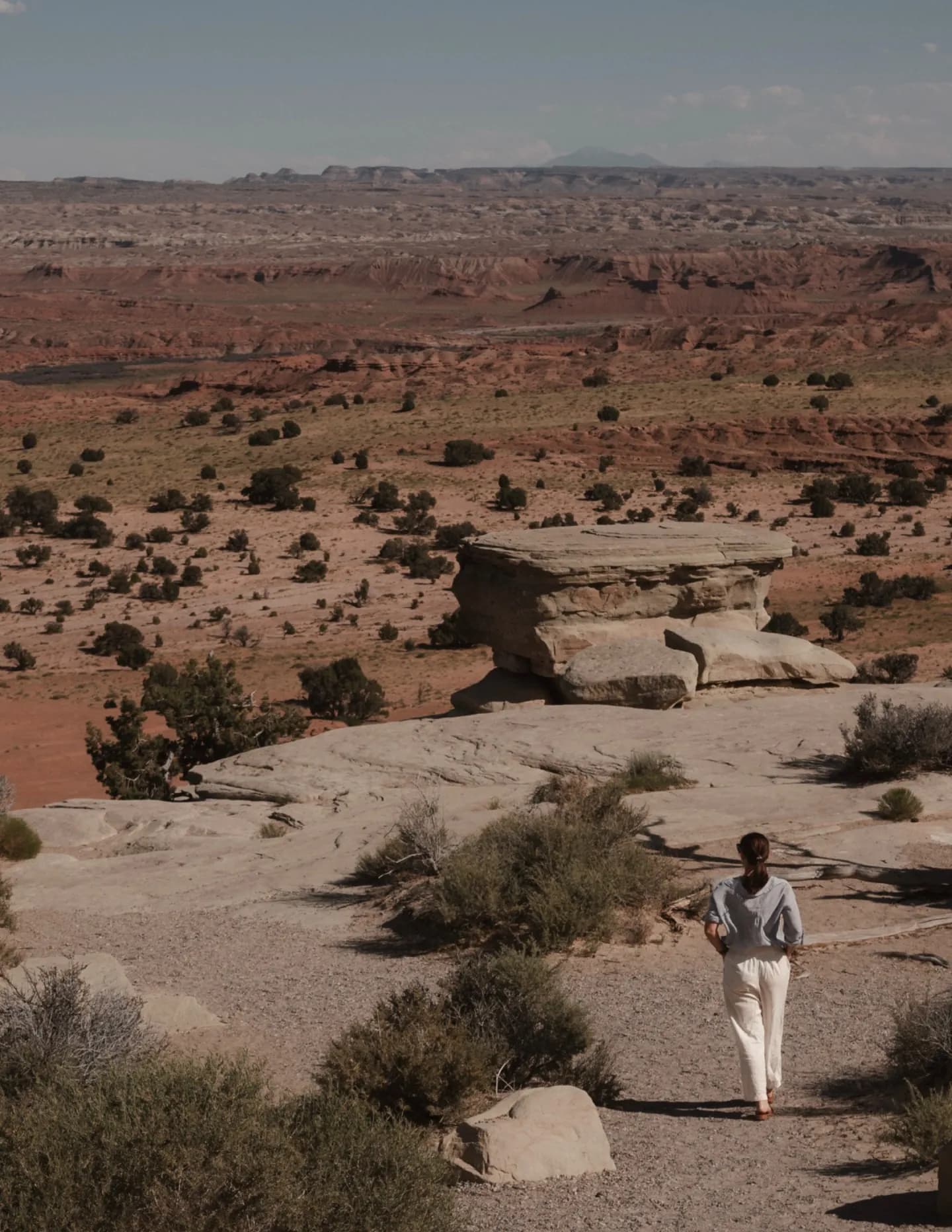 Thewanderingmutt image