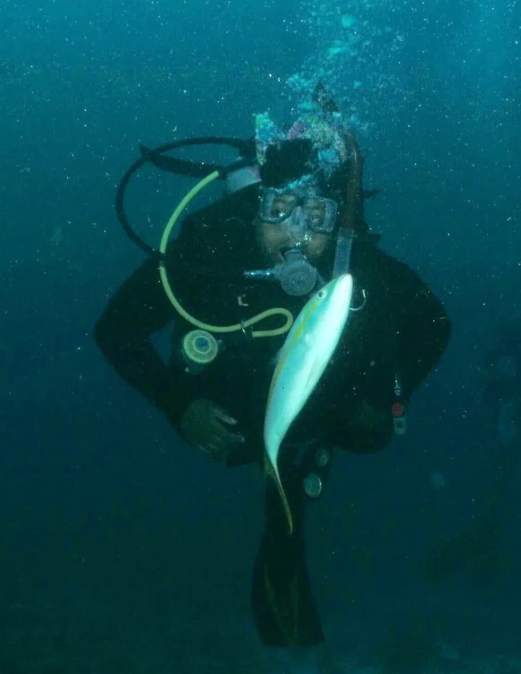 Taylor-Symon image